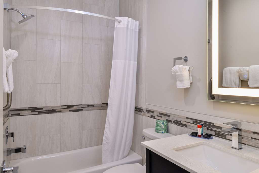 Palace Inn Blue Tomball Parkway Houston Bilik gambar
